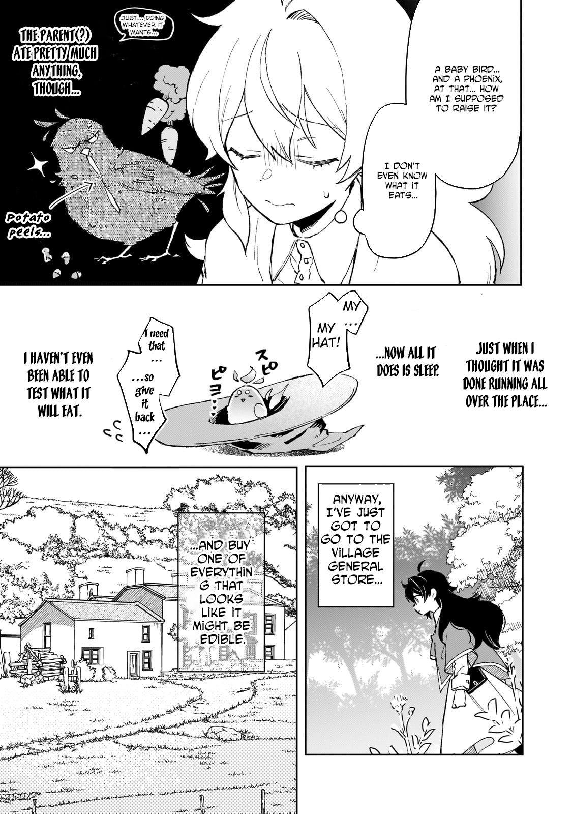 Lacey the Dawn Witch’s Peaceful Life After Defeating the Demon Lord. Chapter 9 Page 3